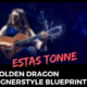 Estas Tonne Fingerstyle Guitar Lesson with Tab. Acoustic Guitar Lesson.