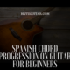 Fignerstyle Guitar. Spanish Chord Progression for Beginners. Acoustic Guitar Lesson