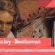 Ode to Joy – Ludwig van Beethoven – Fingerstyle Acoustic Guitar Lesson