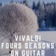 Vivaldi The Four Season Largo on Acoustic Guitar